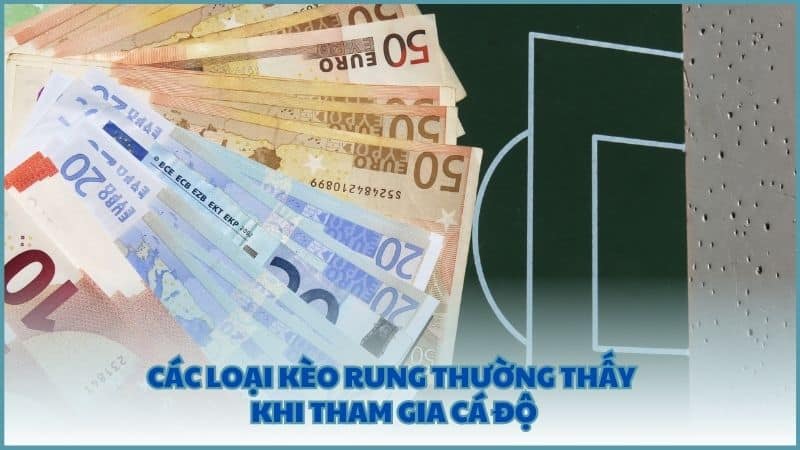 Các loại kèo rung thường thấy khi tham gia cá độ