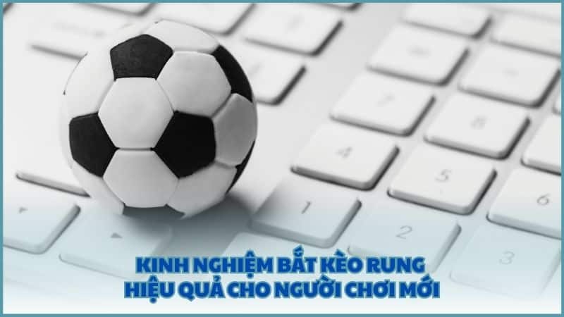 Kinh nghiệm bắt kèo rung hiệu quả cho người chơi mới